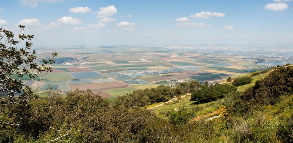 הגלבוע